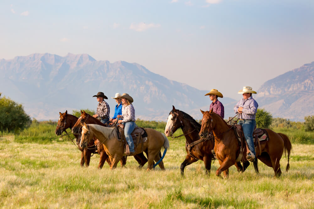 Horseback riding is one of the great summer activities in Telluride.