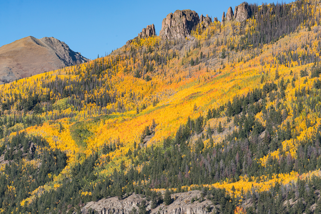 Telluride in the Fall A Local's Favorite Exceptional Stays