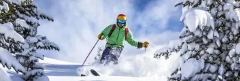 Understanding the 6 Different Types of Skiing