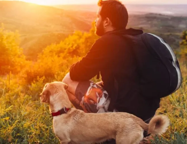 Key Tips for Bringing Your Pet on Vacation