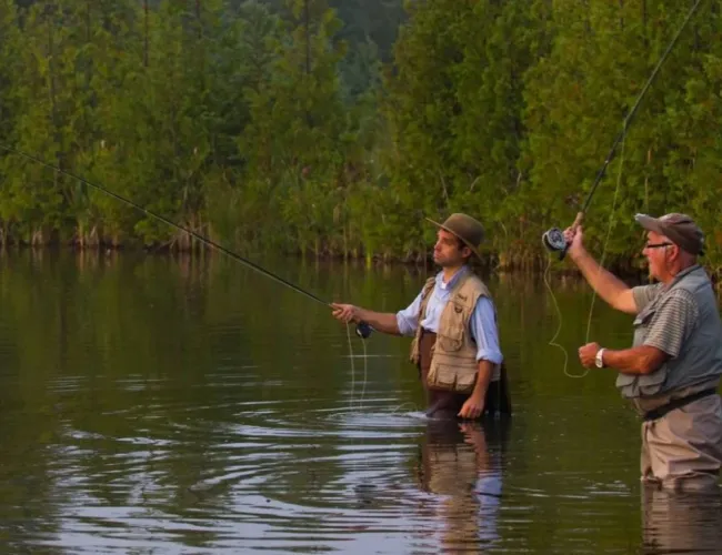 A Comprehensive Guide to Fly-Fishing in Telluride