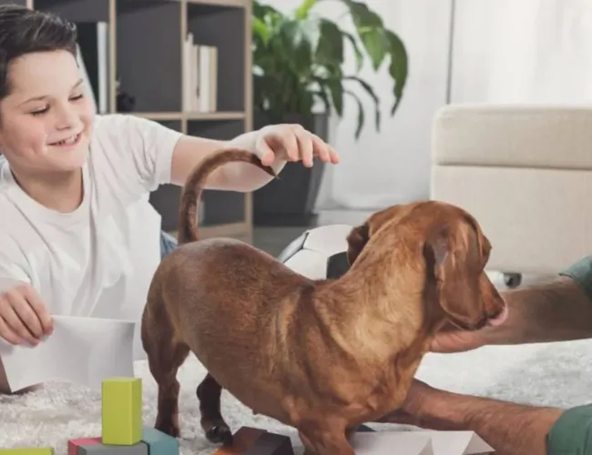 7 Pros and Cons of a Pet-Friendly Rental