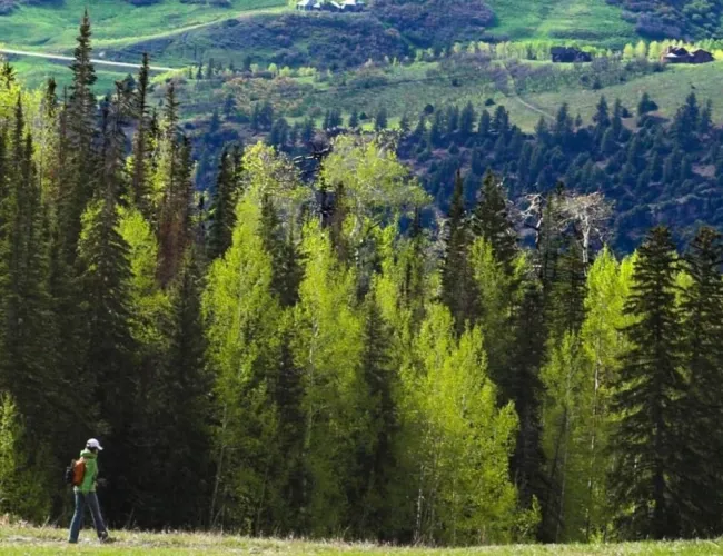 Telluride Hiking Trails for Spring & Summer