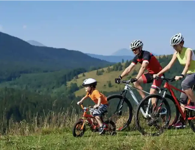 telluride bike rentals