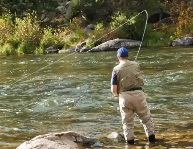 The Ultimate Guide to Fly Fishing in Telluride