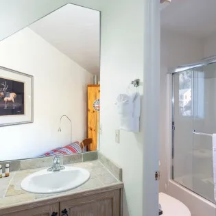 telluride double diamond  primary bathroom