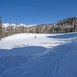 17.2 picture perfect mountain village ski in ski out3