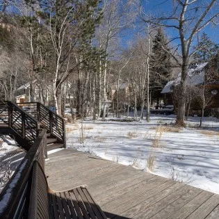 the treehouse telluride entry