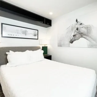 telluride downtown modern creekside guest bedroom  b