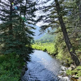 telluride downtown modern creekside river from bridge