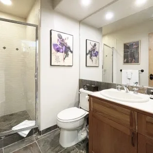 MV Terraces  guest bathroom